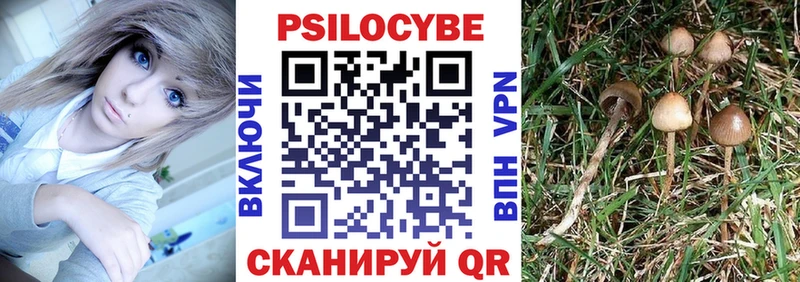 darknet как зайти  Домодедово  Галлюциногенные грибы Cubensis 